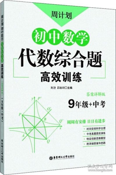 周计划：初中数学代数综合题高效训练（9年级+中考）