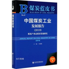 煤炭蓝皮书：中国煤炭工业发展报告（2019）