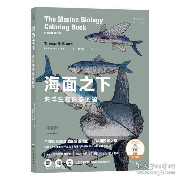 海面之下：海洋生物形态图鉴（一本可以涂色的海洋科普书）