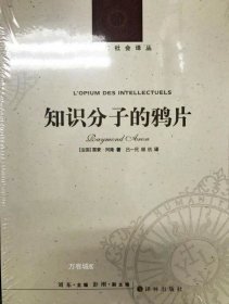 人文与社会译丛：知识分子的鸦片