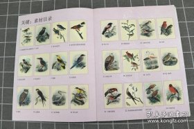 正版现货 飞鸟物语 鸟类绘画涂色书中国历代江寒汀花鸟画谱美术技法工笔花鸟初学者线描画册简笔画水墨自学画谱 9787548423058