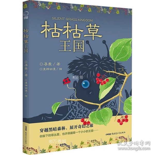 枯枯草王国（冰心儿童文学新作奖获得者寻麦新创作长篇奇幻小说；读者年龄：6 -12岁）