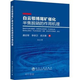 正版现货 白云鄂博尾矿催化半焦脱硝的作用机理