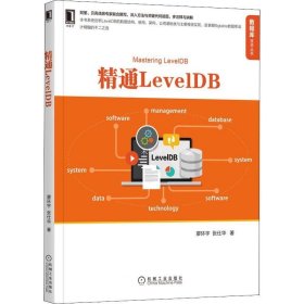 正版现货 精通LevelDB