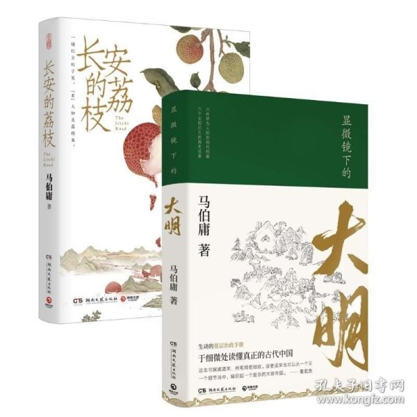 显微镜下的大明（马伯庸全新作品）