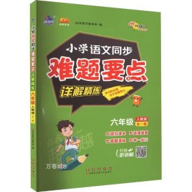 小学同步难题要点详解精练 语文人教版六年级