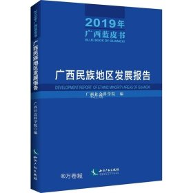 广西民族地区发展报告（2019年广西蓝皮书）——广西民族地区发展报告