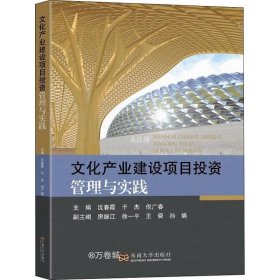 正版现货 文化产业建设项目投资管理与实践