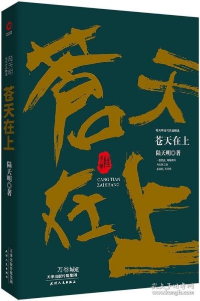 陆天明当代作品精选：苍天在上