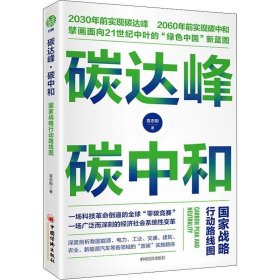 正版现货 碳达峰碳中和：国家战略行动路线图 袁志刚 循环经济 低碳经济 环境气候