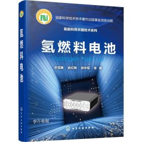 正版现货 氢能利用关键技术系列--氢燃料电池