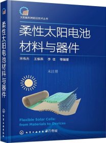 太阳能利用前沿技术丛书--柔性太阳电池材料与器件