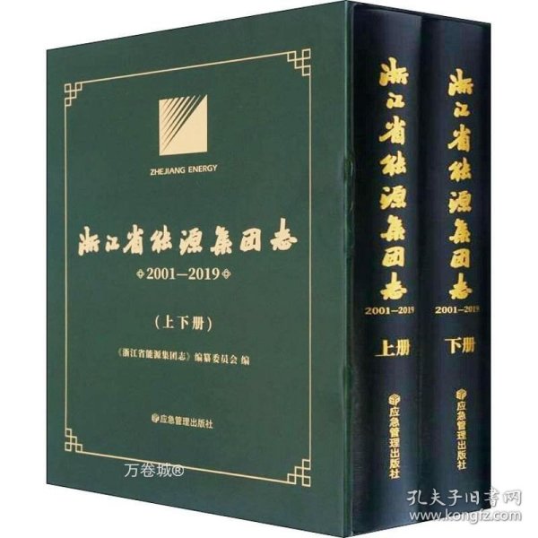 浙江省能源集团志(2001-2019上下)(精)