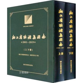 浙江省能源集团志(2001-2019上下)(精)