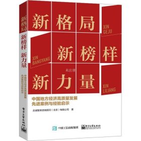 新格局 新榜样 新力量——中国地方经济高质量发展先进案例与经验启示