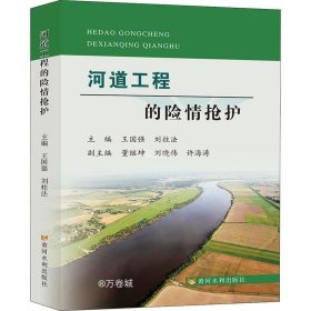 正版现货 河道工程的险情抢护