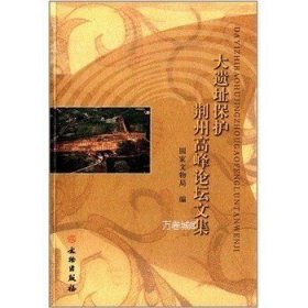 大遗址保护荆州高峰论坛文集