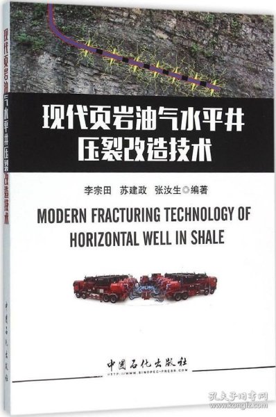 现代页岩油气水平井压裂改造技术