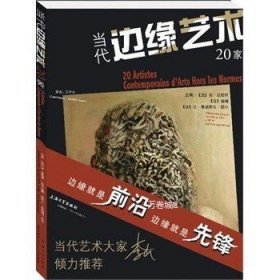 当代边缘艺术20家