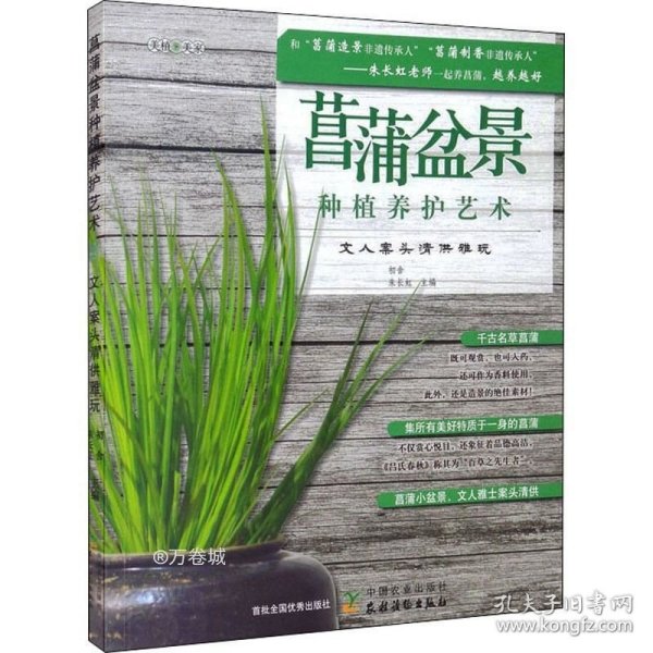 菖蒲盆景种植养护艺术：文人案头清供雅玩