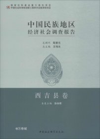 中国民族地区经济社会调查报告：西吉县卷