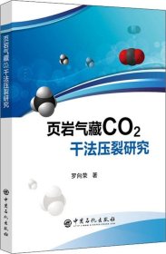 正版现货 页岩气藏CO2干法压裂研究