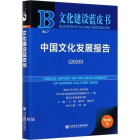 文化建设蓝皮书：中国文化发展报告（2020）