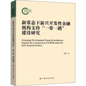 新常态下新兴开发性金融机构支持“一带一路”建设研究