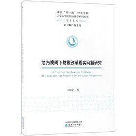 正版现货 地方视阈下财税改革现实问题研究