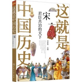 正版现货 这就是中国历史——宋：君臣共治的天下