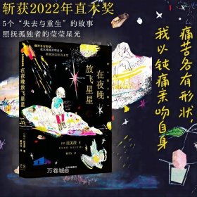 正版现货 在夜晚放飞星星