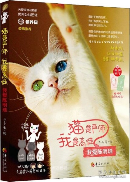 猫是严师，我是高徒