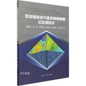 页岩储层多尺度多物理参数正反演技术