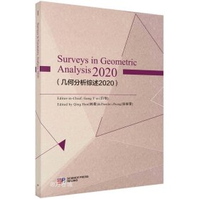正版现货 几何分析综述2020（英文版）