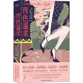 夜色温柔（精装）译坛“绝代双骄”贾氏兄弟忠实原著全译本，国现代文库“20世纪百佳英语小说”