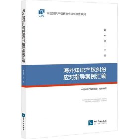 海外知识产权纠纷应对指导案例汇编