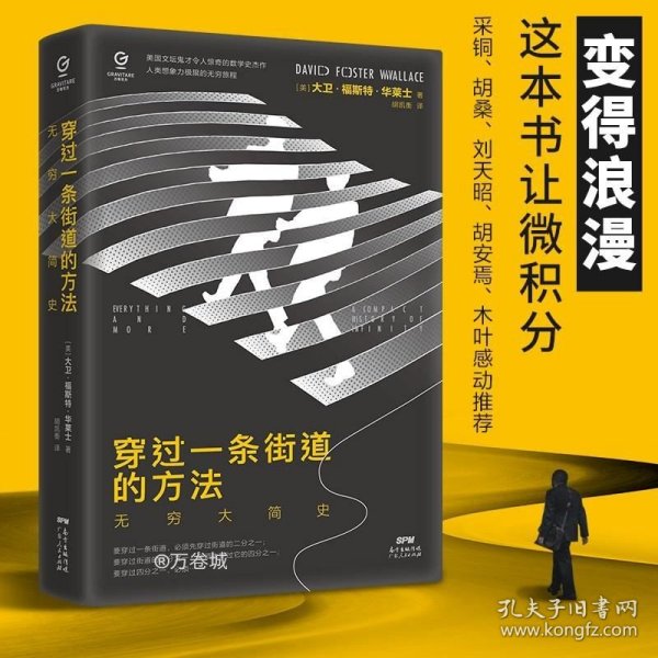 万有引力书系：穿过一条街道的方法：无穷大简史