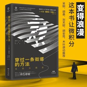 万有引力书系：穿过一条街道的方法：无穷大简史