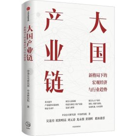 正版现货 大国产业链 中金公司研究部 中金研究院 著