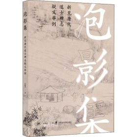 泡影集——新见唐代道士碑志疑义举例