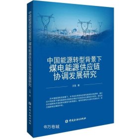 正版现货 中国能源转型背景下煤电能源供应链协调发展研究
