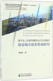 正版现货 基于长三角都市圈劳动力空间演化精益城市就业集成研究