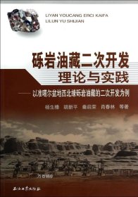 砾岩油藏二次开发理论与实践