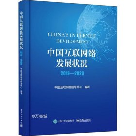 中国互联网络发展状况2019―2020