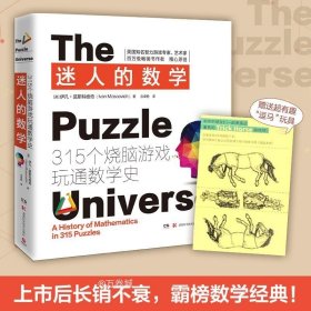 迷人的数学：315个烧脑游戏玩通数学史