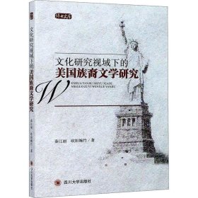 正版现货 文化研究视域下的美国族裔文学研究