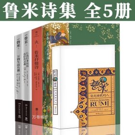 正版现货 鲁米作品集（全5册）鲁米诗集全套 鲁米抒情诗火偷走睡眠的人万物生而有翼让我们来谈谈我们的灵魂在春天走进果园张德芬作序武志红推荐