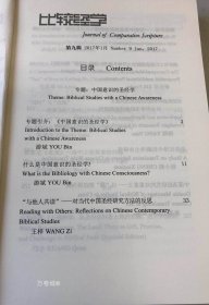 正版现货 比较经学（第九辑）中国意识的圣经学宗教文化出版社