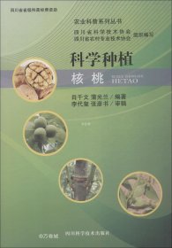 正版现货 科学种植核桃 肖千文 蒲光兰 著 网络书店 图书