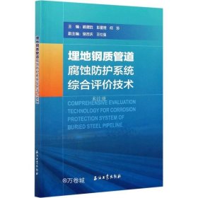 埋地钢质管道腐蚀防护系统综合评价技术